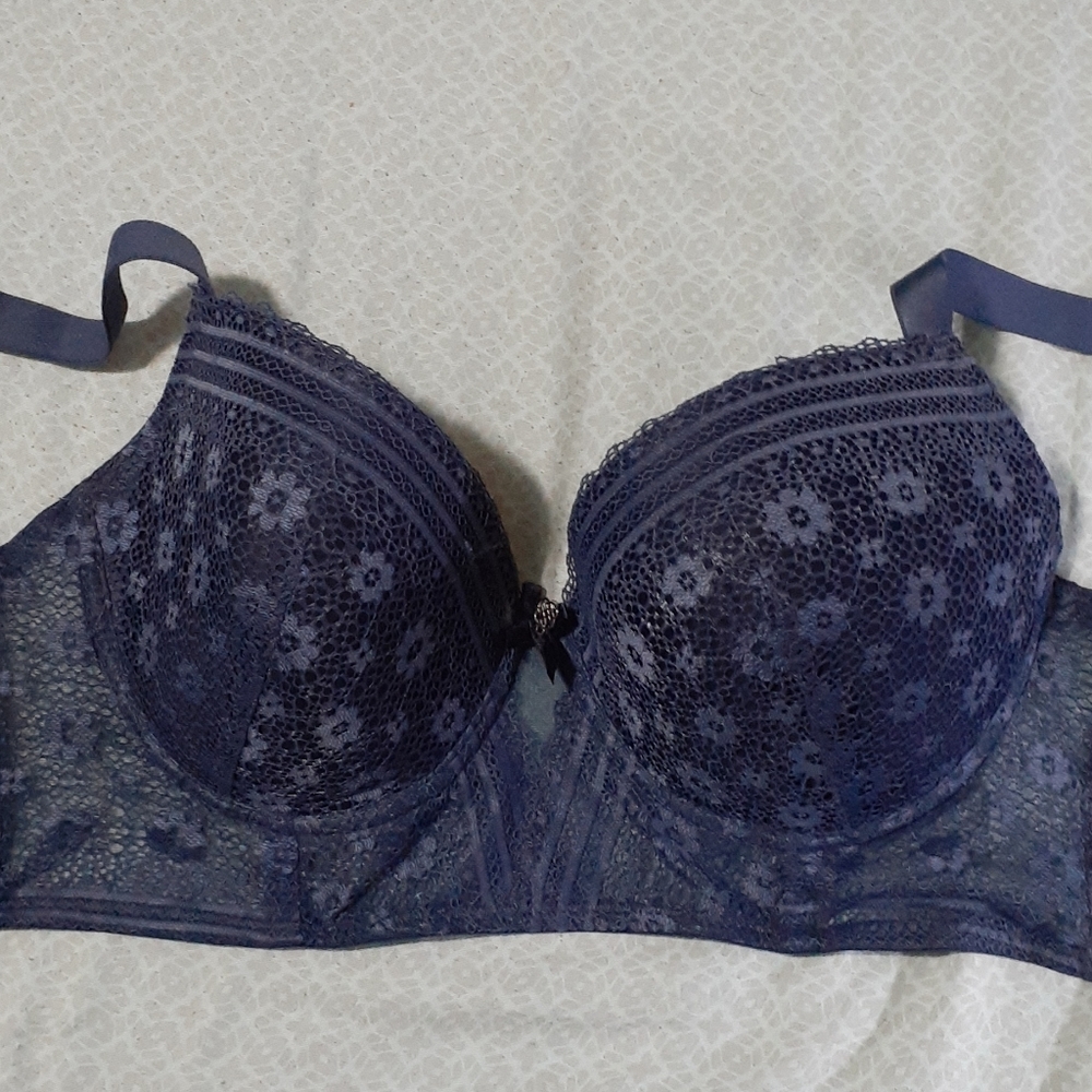 Blue Lace Bra